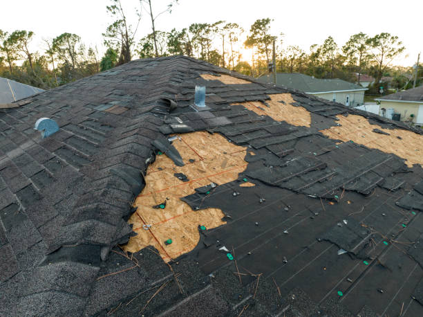 Trusted Lacombe, LA Roofing Services Experts